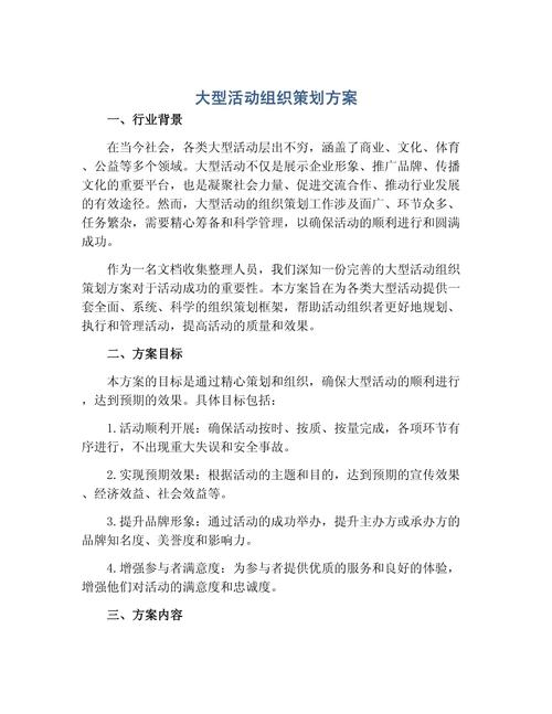 大型活动组织策划方案.docx